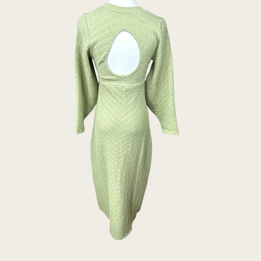 Free People Gabby dried aloe  Long Sleeve Crew Neck‎ keyhole back midi Dress